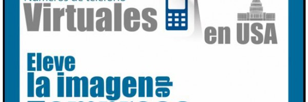 3.1. Números virtuales en USA